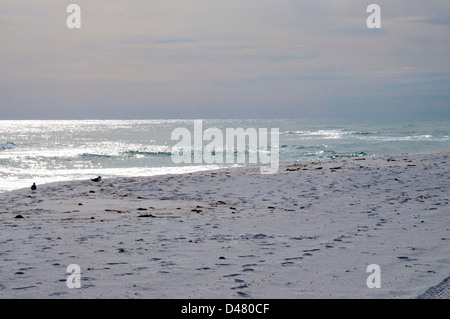 Der Strand auf Okaloosa Island, Florida. Stockfoto