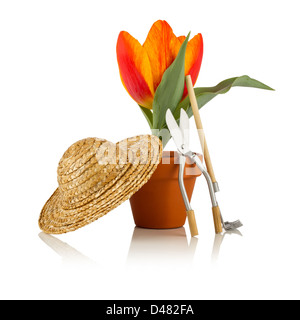 Tulpe mit Strohhut und Gartenwerkzeuge Stockfoto
