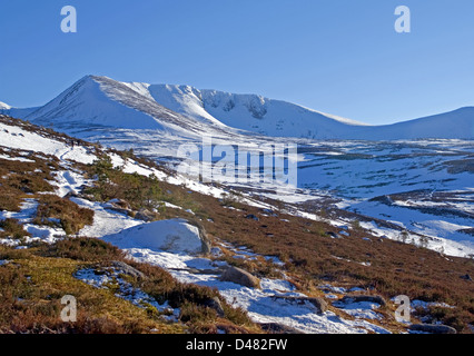 Cairn-man und Coire eine Lochain gesehen von den unteren Hängen des Fiacaill Grat, Cairngorms, schottische Hghlands, Scotland UK Stockfoto