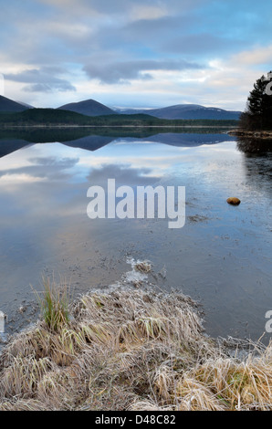 Loch Morlich und Cairngorm Berge - Cairngorms National Park, Schottland, Vereinigtes Königreich Stockfoto