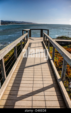 Küsten Weg in der Nähe von Pigeon Point Lighthouse in San Mateo, Kalifornien Stockfoto