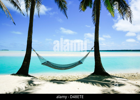 Hängematte zwischen zwei Palmen am Strand von Cook Island Stockfoto