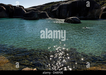 Person im Wasser Elefant Cove, Elephant Rocks in der Nähe von Dänemark, William Bay National Park, Süd-West Australien Stockfoto