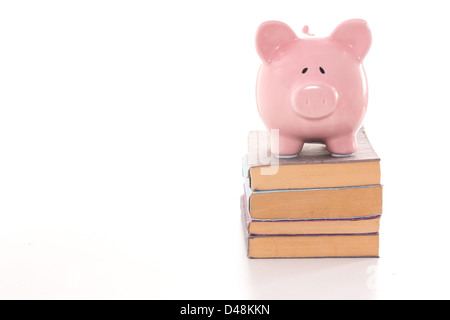 Rosa Sparschwein auf Bücher Stockfoto