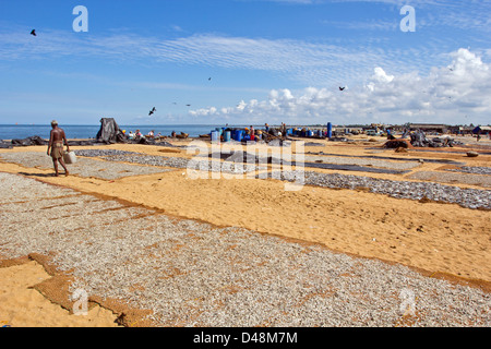 TROCKNEN DER FISCHE HAKEN AN EINEM STRAND IN SRI LANKA A GROßINDUSTRIE TÄGLICH TAUSENDE VON FISCHEN VERARBEITET Stockfoto