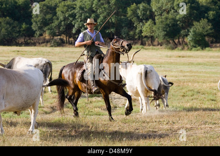 Europa, Italien, Toskana, Alberese, Uccellina Park, Ranch Alberese, cowboys Stockfoto