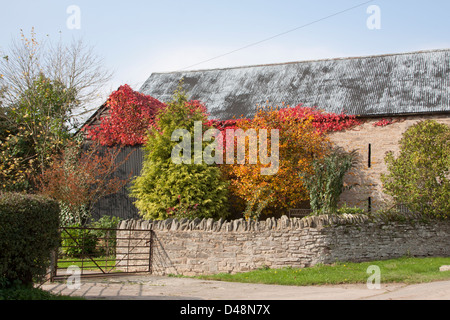 Scheune, umgeben von bunten Bäumen im Herbst Stockfoto