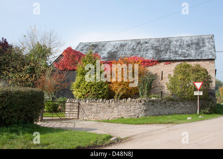 Scheune, umgeben von bunten Bäumen im Herbst Stockfoto