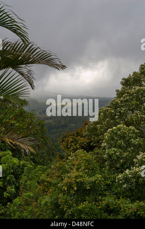 Tropischer Vegetation und bedecktem Himmel in Costa Rica, Mittelamerika Stockfoto