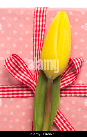 Gelbe Tulpe auf rosa verpackt vorhanden Stockfoto