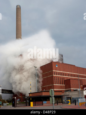 Rauch steigt aus der Fabrik der Helsingin Energia in Helsinki, Finnland Stockfoto