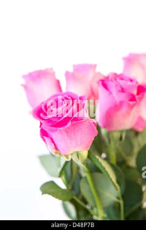 Strauß rosa Rosen hautnah Stockfoto