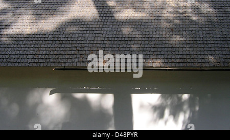 Erik Gunnar Asplund, Stockholm august 2005 Stockfoto