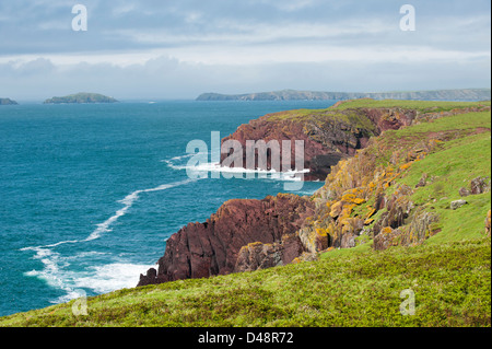 Roter Sandstein-Klippen der Küste von Skokholm Island, South Pembrokeshire, Wales, Vereinigtes Königreich Stockfoto