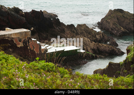 Landeplatz in North Haven, Skokholm Island, South Pembrokeshire, Wales, Vereinigtes Königreich Stockfoto