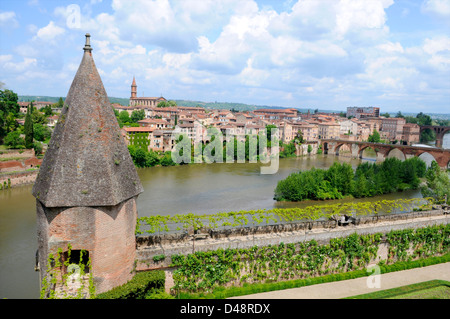 Die Gärten in den Palais De La Berbie (Berber Palast) mit Blick auf den Fluss Tarn. Albi, Tarn, Frankreich Stockfoto