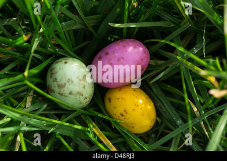 Kleine Ostereier eingebettet in der Wiese Stockfoto