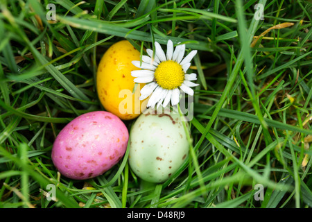 Kleine Ostereier eingebettet in den Rasen mit einem Gänseblümchen Stockfoto