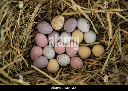 Süßigkeiten Sie wenig Ostereier im Stroh Stockfoto