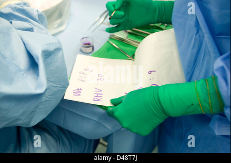 Details zu den Patienten, wie Gewicht, sind während der Operation festgestellt. Stockfoto