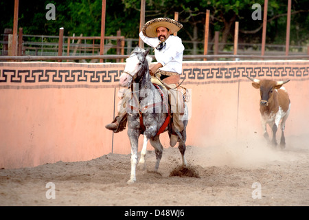 Mexikanische Charro Reiter gejagt von einem Stier, TX, USA Stockfoto