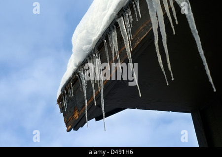 Eiszapfen hängen von der Ecke des Dachs auf einem Gebäude im Yellowstone National Park, Wyoming, USA Stockfoto