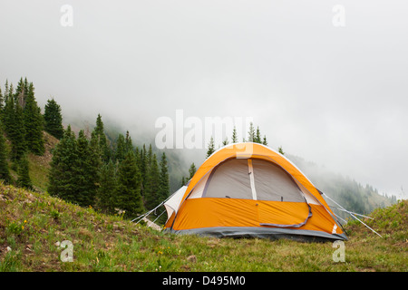 Nebel über Paradies teilen im Bereich Crested Butte, Colorado. Stockfoto