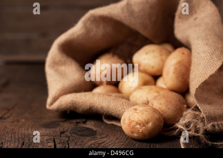 Ernte der Kartoffeln im Leinensack auf rustikalen Hintergrund Stockfoto