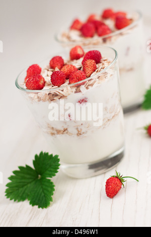 Natürlichen Joghurt mit Müsli und wilde Erdbeeren Stockfoto