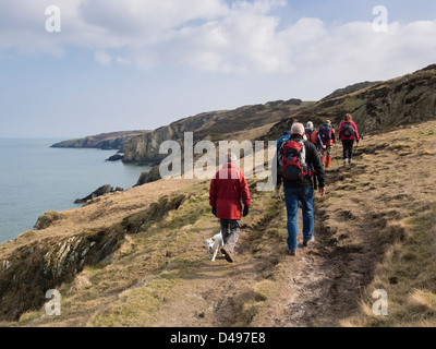 Gruppe der Wanderer zu Fuß auf der Isle of Anglesey Coast Path in Richtung Bull Bay, Insel Anglesey, North Wales, UK, Großbritannien Stockfoto