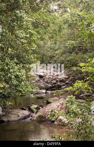 Stony Creek in der Nähe von Cairns, Far North Queensland, Australien Stockfoto