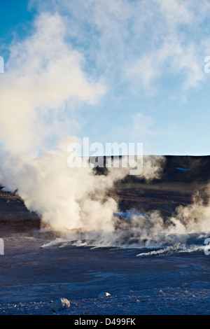 Sol de Manana, dampfenden geothermalen und Geysirfeld, Reserva Nacional de Fauna Andina Eduardo Abaroa, Bolivien, Südamerika Stockfoto