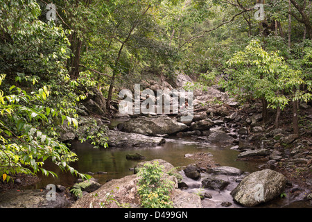 Stony Creek in der Nähe von Cairns, Far North Queensland, Australien Stockfoto