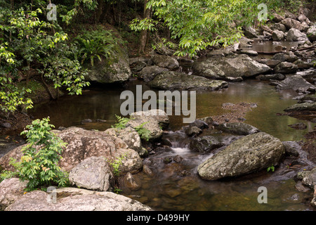 Stony Creek in der Nähe von Cairns, Far North Queensland, Australien Stockfoto