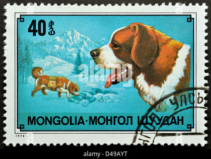 Mongolischen Briefmarke mit dem Porträt Bernhardiner Hund Stockfoto