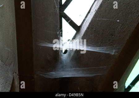 Spinnweben in ein Kirchenfenster Stockfoto