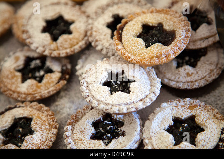 Mince Pie Törtchen Stockfoto