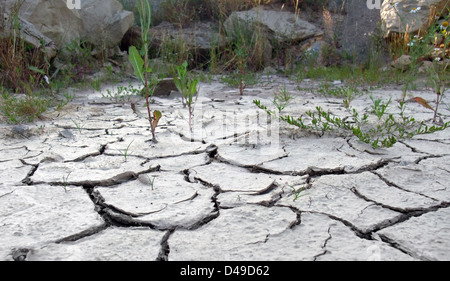 niedrigen Winkel gedreht, zeigt die Grenze eines trockenen rissigen Boden-Bereich Stockfoto