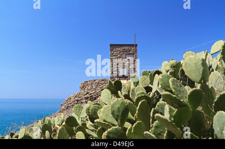 Punta Chiappa zwischen Kaktusfeigen in Naturpark Portofino, Ligurien, Italien Stockfoto