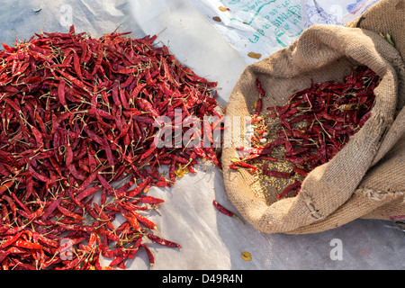 Getrocknete rote Chilis auf einem indischen Markt. Andhra Pradesh, Indien Stockfoto