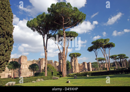 Die Caracalla (Terme di Caracalla) in Rom Stockfoto