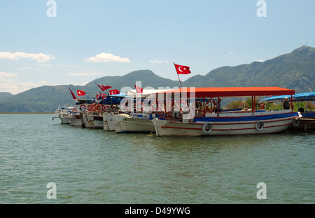 Dalyan Fluss vor die Felsengräber von Kaunos oder Kaunos in der Nähe von Marmaris, Türkische Ägäis, Türkei, Asien Stockfoto