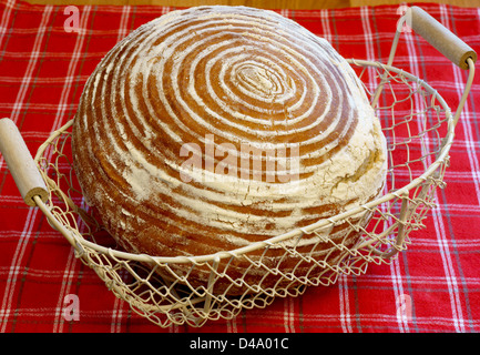 Frisch gebackenes Sauerteig Sauerteigbrot im Korb Stockfoto