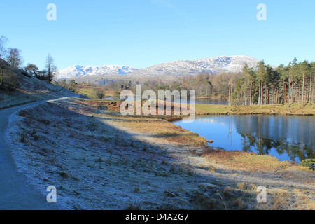 Blick vom frostig blaue Schatten heraus über Tarn Hows auf Schnee begrenzt Coniston Fells, Cumbria, England Stockfoto