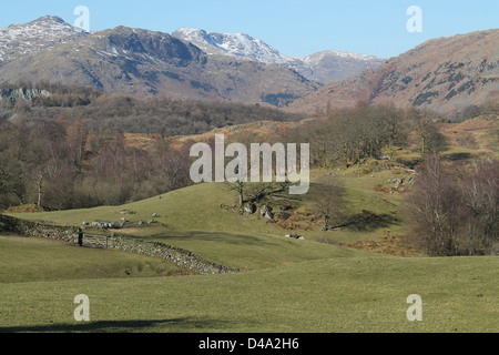 Mit Blick auf kleine Langdale, Hecht o ' Blisko, Blake Rigg, Bogen fiel und fiel Lingmoor von hohen Ochsen Stockfoto