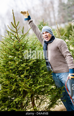 Mann am schneiden Ihren eigenen Weihnachtsbaum Bauernhof zeigen hohe Fichte Stockfoto