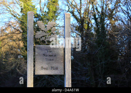 Der National Trust Box Hill anmelden Frost, winter, England Stockfoto