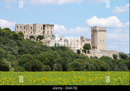 Abbaye de Montmajour 11 Stockfoto