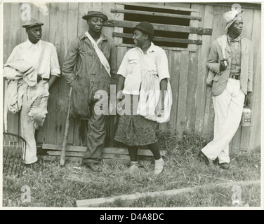 Dieses Foto von Ben Shahn zeigt afroamerikanische Männer und Frauen, die während der Depression in Arkansas Baumwolle pflückten. Die Szene am frühen Morgen fängt die harte Arbeit und das ländliche Leben dieser Zeit ein. Stockfoto