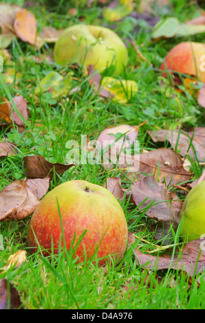 Zeigt - Geldsegen 05 Stockfoto